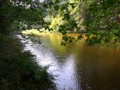  Blick auf dem Kamp bei der Gechwendtmhle  