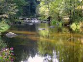  Blick auf den Kampfluss 