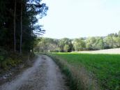  Blick auf die Wanderstrecke 