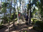  Wanderer kommen vom "Hoher Stein" 