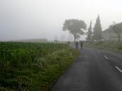 Wanderroute auf der Hauptstrae Richtung Aschbach Markt