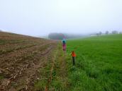 Wanderroute zwischen den Feldern zum Gehft Trauner 