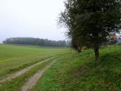  Blick auf die Wanderstrecke 