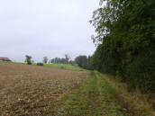  Wanderroute nach Abetzdorf 