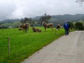  Blick auf die Wanderstrecke beim Gehft Hohenmorgen 