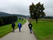  Wanderroute bergan zur Streusiedlung Hinterholz 