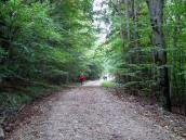  Blick auf die Wanderstrecke 