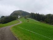  Blick auf die Wanderstrecke vom Herzogenberg 