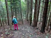 Blick auf die Wanderstrecke bergab durch den Stiftswald auf dem Jakob Prandauerweg