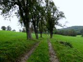  Blick auf die Wanderstrecke 