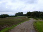  Blick auf die Wanderstrecke auf der Anhhe 