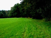 Blick auf die Wanderroute bergab zum Gehft Trauner 