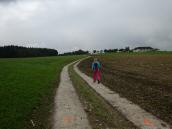 Blick auf die Wanderroute bergan zum Gehft Wiesenreith