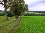  Blick auf die Wanderstrecke 