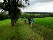  Blick auf die Wanderstrecke 