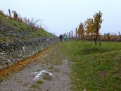  Wanderroute zur Traubenskulptur 