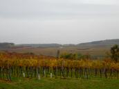  Fernblick zur K+L in der Riede Tanzer 