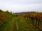  Wanderroute durch die Rieden am Schilterner Berg 