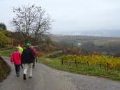 Blick auf die Wanderstrecke auf dem Gterweg Tanzer mit guter Fernsicht 