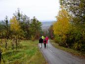  Wanderroute bergab nach Unterreith 