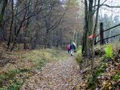  Blick auf die Wanderstrecke 