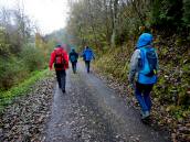  Wanderroute im Fahnberggraben  