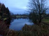  Blick auf einen Teich bei Heidenreichstein 