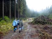  Wanderroute durch den Janslingwald 