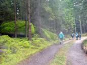  Wanderroute durch den Janslingwald 