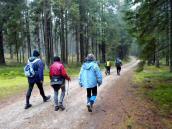  Wanderroute durch den Janslingwald 