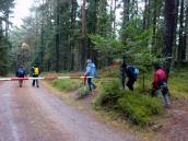  Wanderroute durch den Janslingwald 