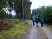  Wanderroute durch den Wald bei Holzschlag 