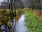  Blick auf den Braunaubach 