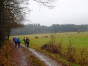  Blick auf die Wanderstrecke 