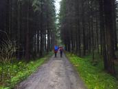  Blick auf die Wanderstrecke 