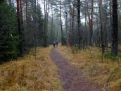  Wanderroute durch das Hochmoor Schrems 