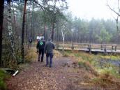 Wanderroute durch das Hochmoor Schrems - beim Prgelsteg 