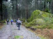  Wanderroute nach Amaliendorf 