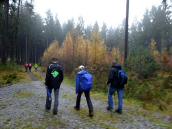  Wanderroute nach Amaliendorf 