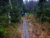  Wanderroute durch das Hochmoor bei Amaliendorf 