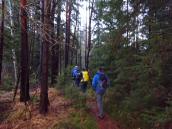  Wanderroute durch das Hochmoor bei Amaliendorf 