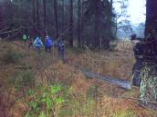  Wanderroute durch das Hochmoor bei Amaliendorf 