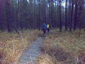  Wanderroute durch das Hochmoor bei Amaliendorf 