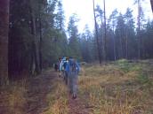  Wanderroute durch das Hochmoor bei Amaliendorf 