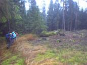  Wanderroute durch das Hochmoor bei Amaliendorf 