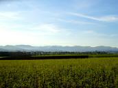  schner Fernblick Richtung Sengsengebirge 