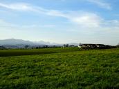  herrlicher Fernblick zum "Toten Gebirge" 