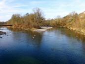  Blick auf die Steyr flussaufwrts 