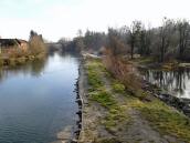  Blick auf die Steyr flussabwrts 