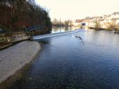  Blick von der Steyrbrcke auf die Steyr flussaufwrts 